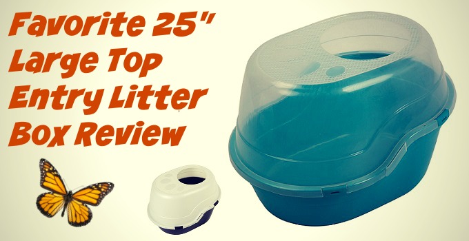 Favorite-Large-Top-Litter-litter-Box