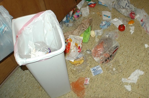 dog raided trash can